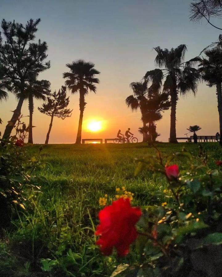 View & More Aparthotel In باتومي المظهر الخارجي الصورة